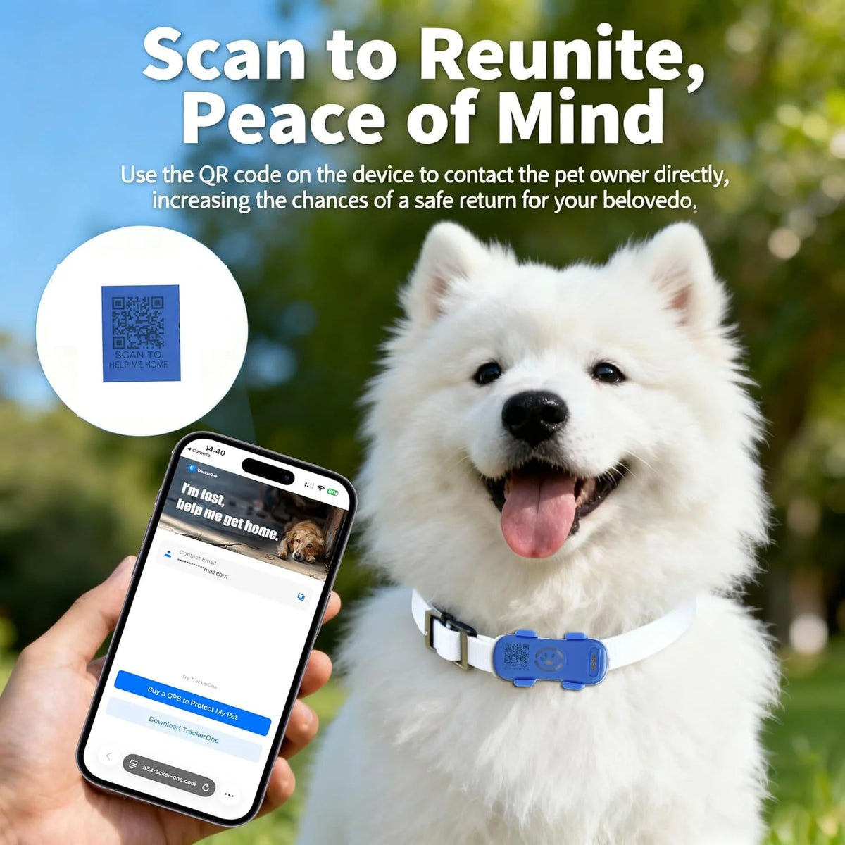 Real Time 4G GPS Pet Tracker With Waterproof Alarm System