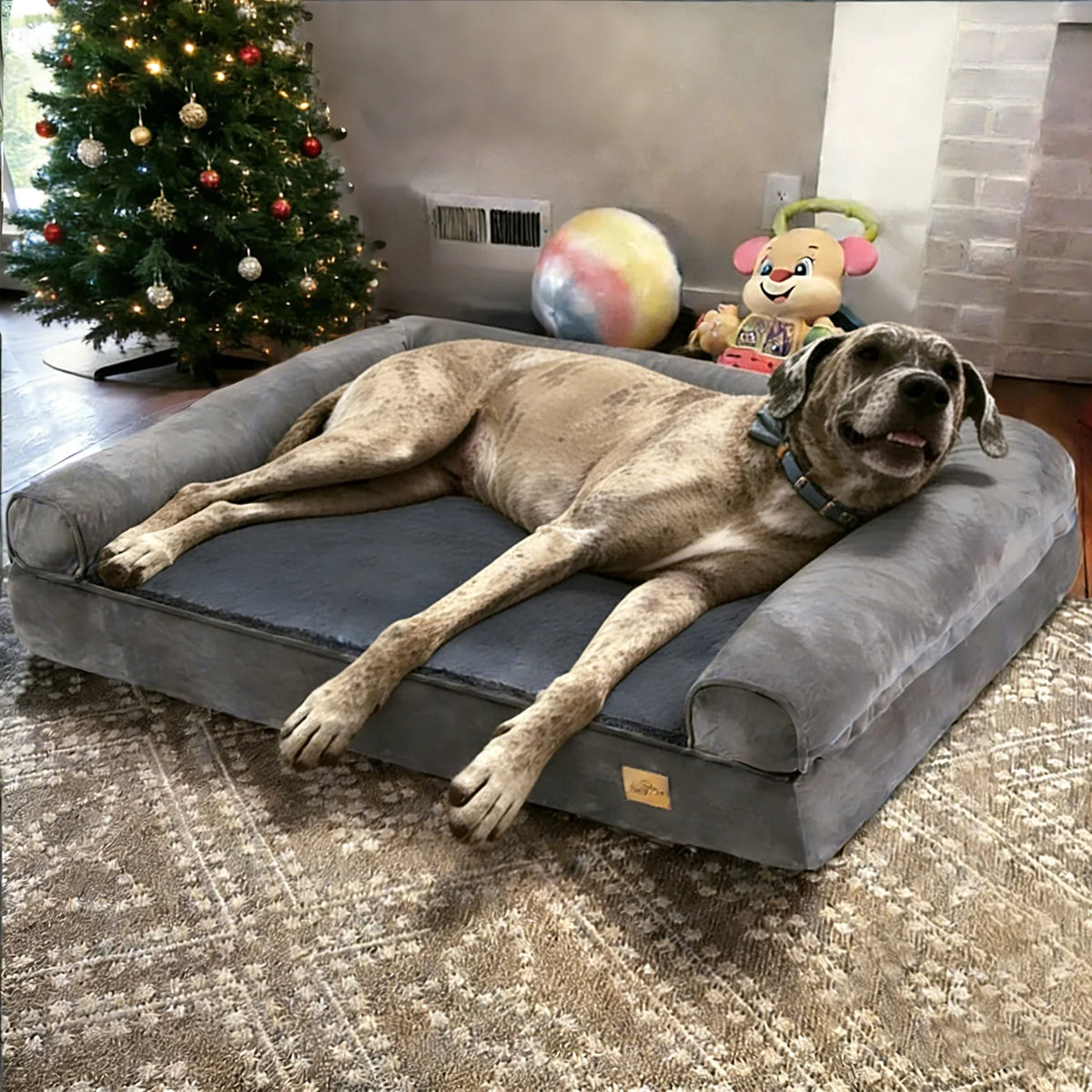 BORWART Orthopedic Memory Foam Calming Dog Sofa Bed