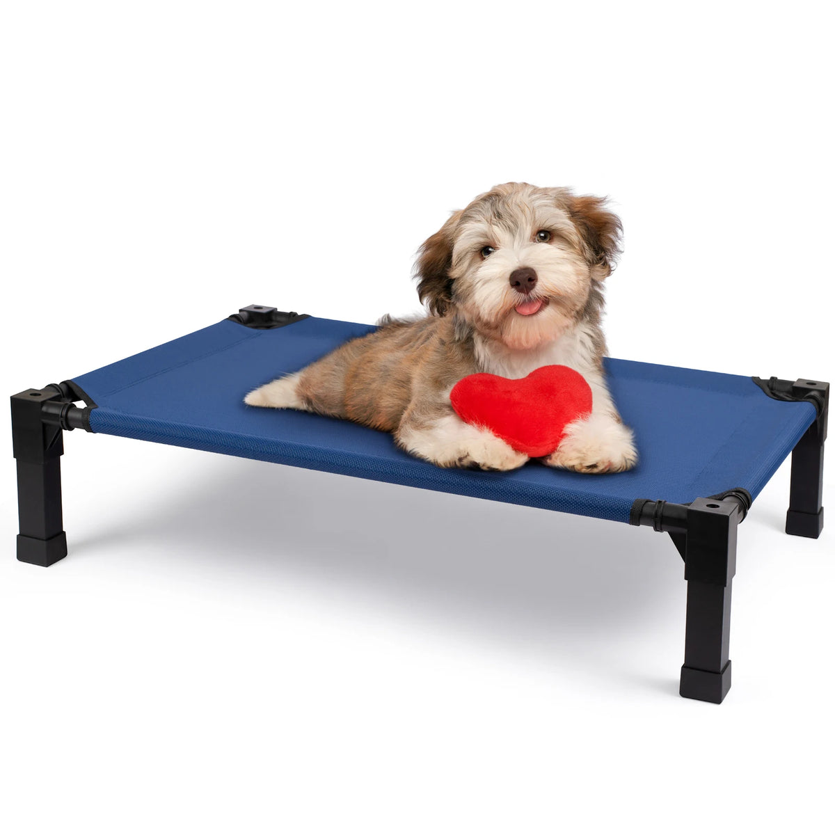 Elevated Cooling Dog Bed With Breathable Mesh And Metal Frame