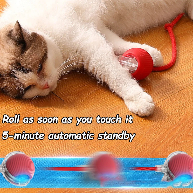 Rechargeable Automatic Interactive Cat Rolling Ball Toy