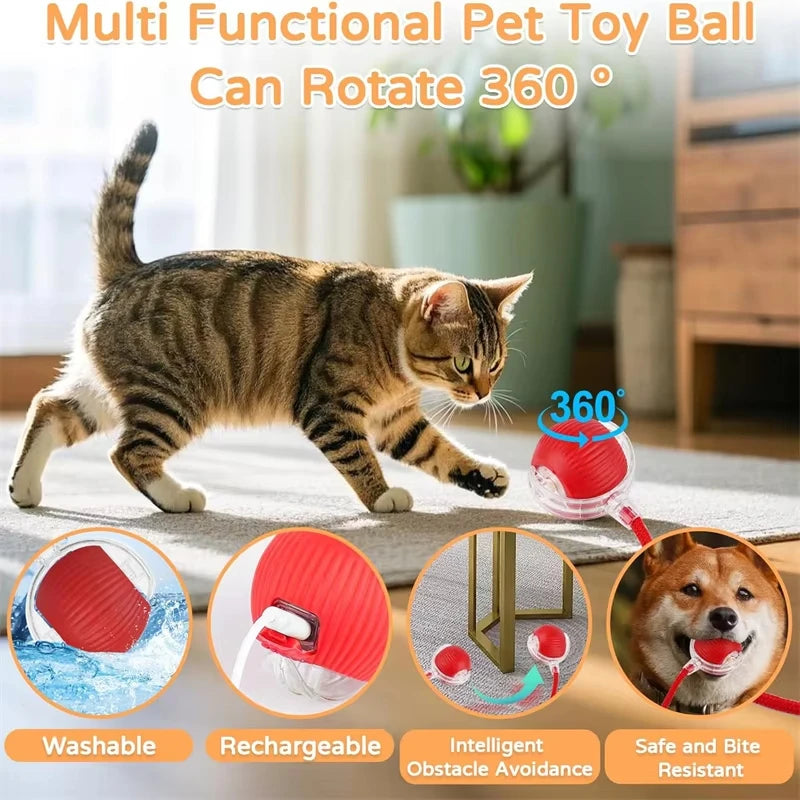 Rechargeable Automatic Interactive Cat Rolling Ball Toy