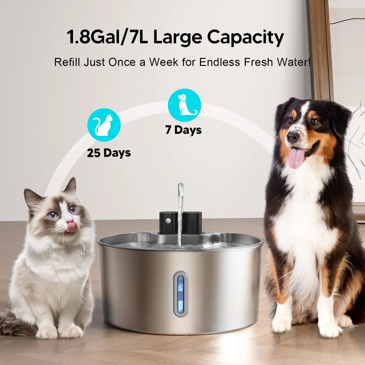 Weomg Stainless Steel Automatic Rechargeable Pet Fountain