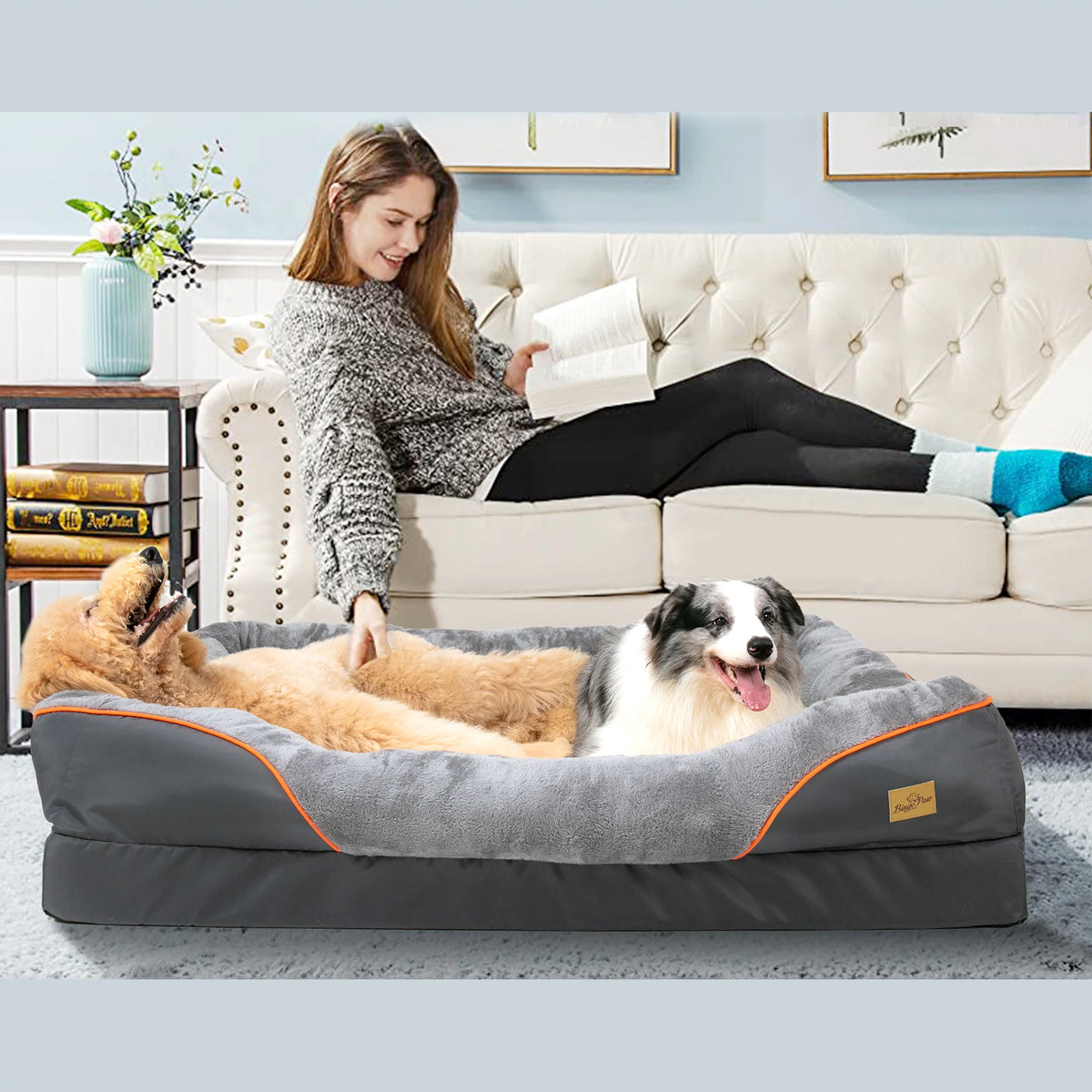 Bingopaw Washable Waterproof Fleece Dog Bed With Removable Cover