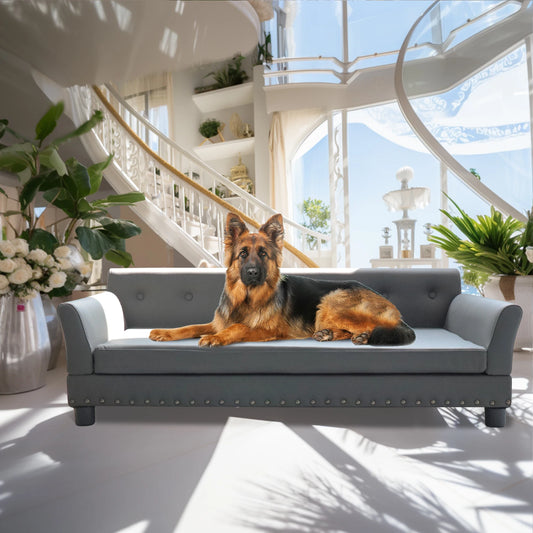 BINGOPAW Waterproof Leather Elevated Dog Sofa Bed With Durable Comfort