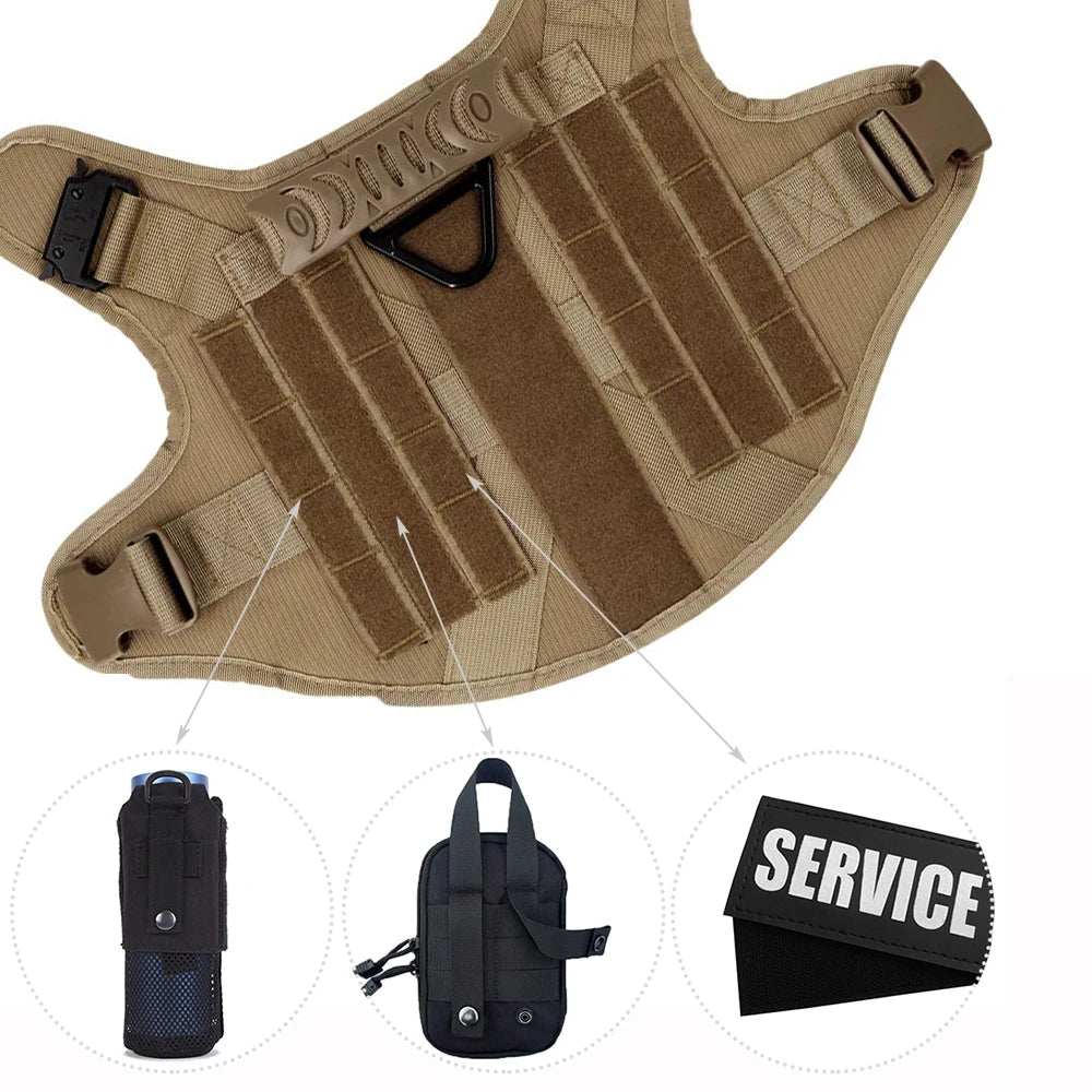 Nylon Padded Dog Harness and Leash Set with Quick Release