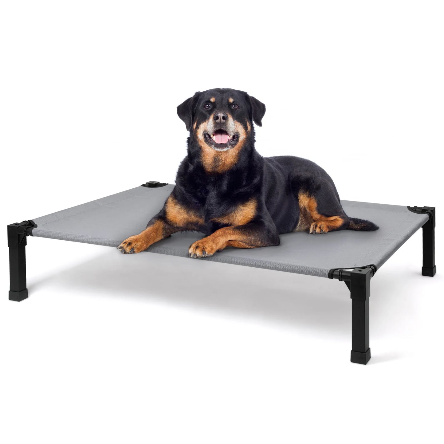 Elevated Cooling Dog Bed With Breathable Mesh And Metal Frame