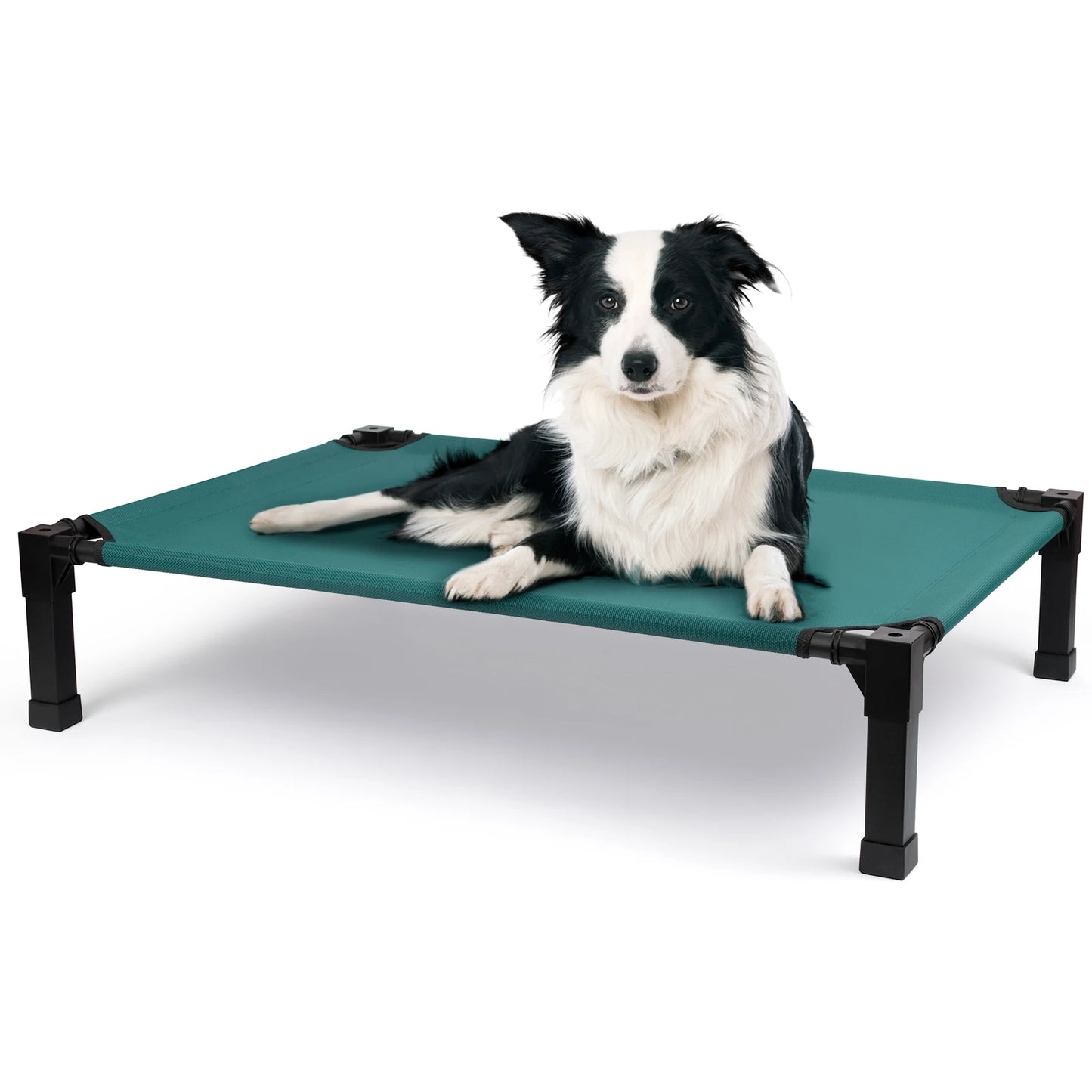 Elevated Cooling Dog Bed With Breathable Mesh And Metal Frame