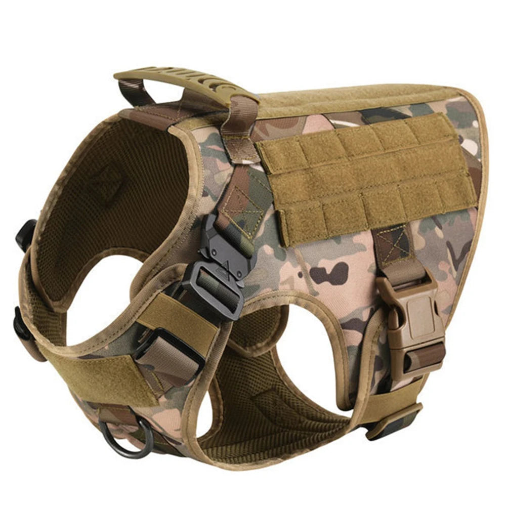 Nylon Padded Dog Harness and Leash Set with Quick Release