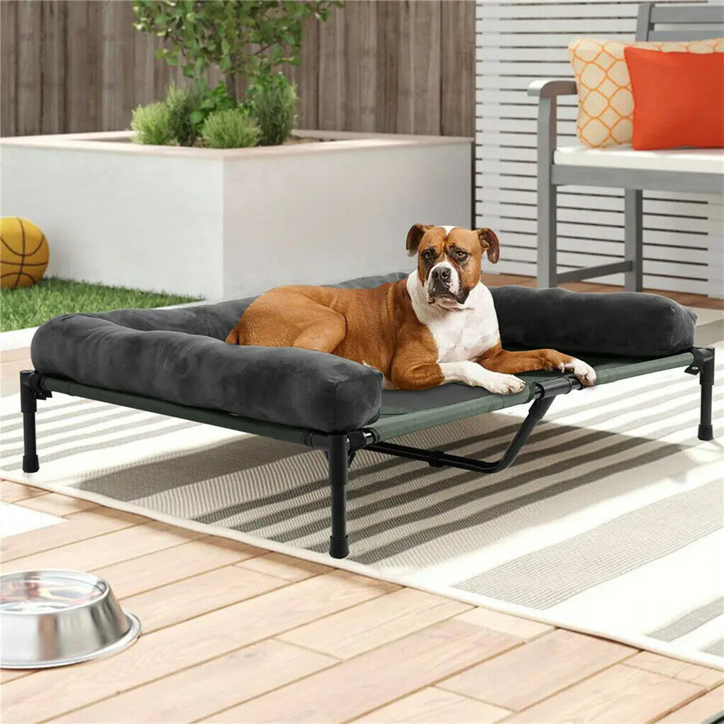 Bingopaw Elevated Cooling Dog Bed With Mesh And Detachable Bolster