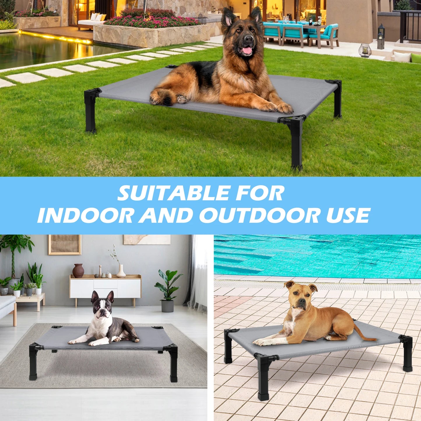 Elevated Dog Bed With Breathable Mesh And Durable Metal Frame