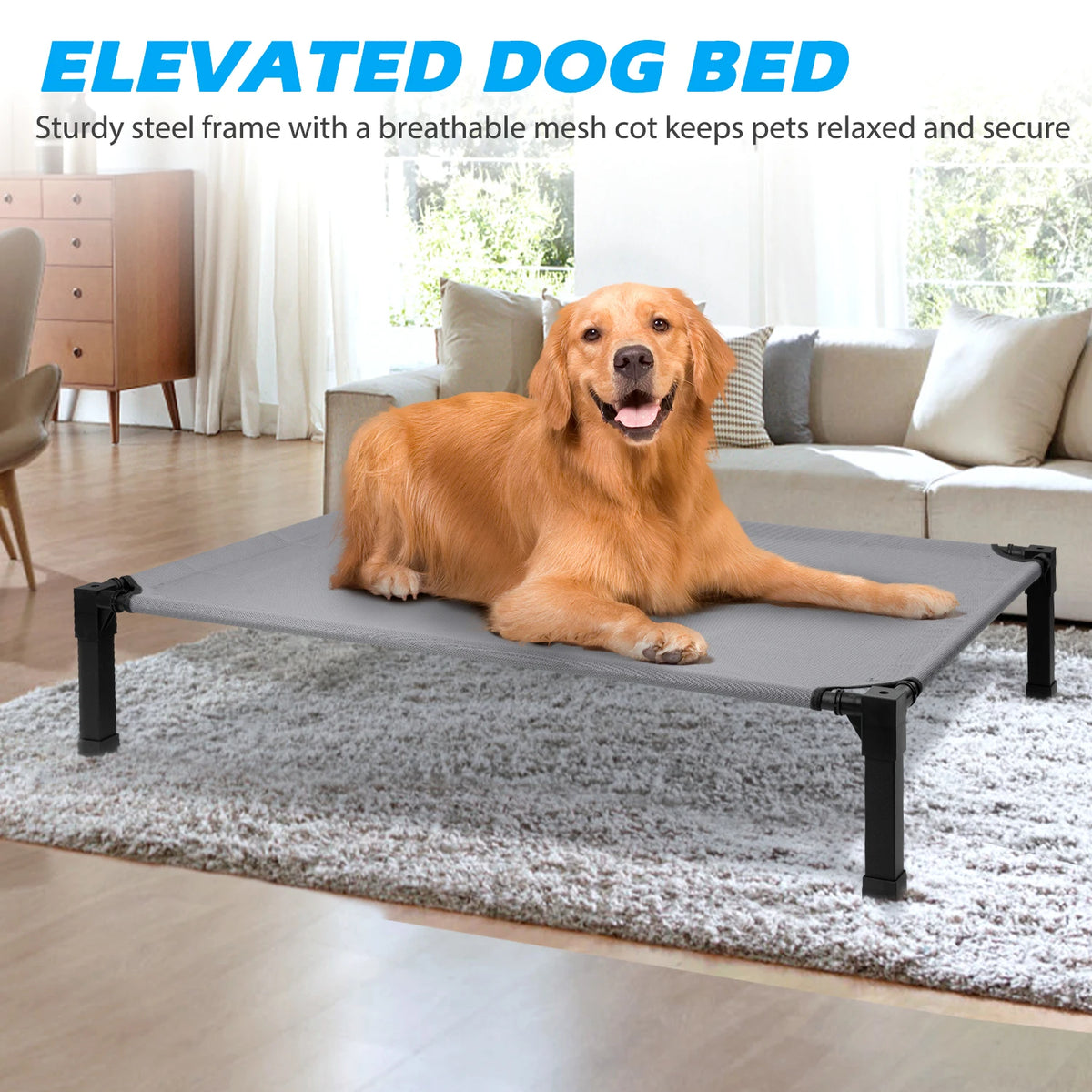 Elevated Dog Bed With Breathable Mesh And Durable Metal Frame