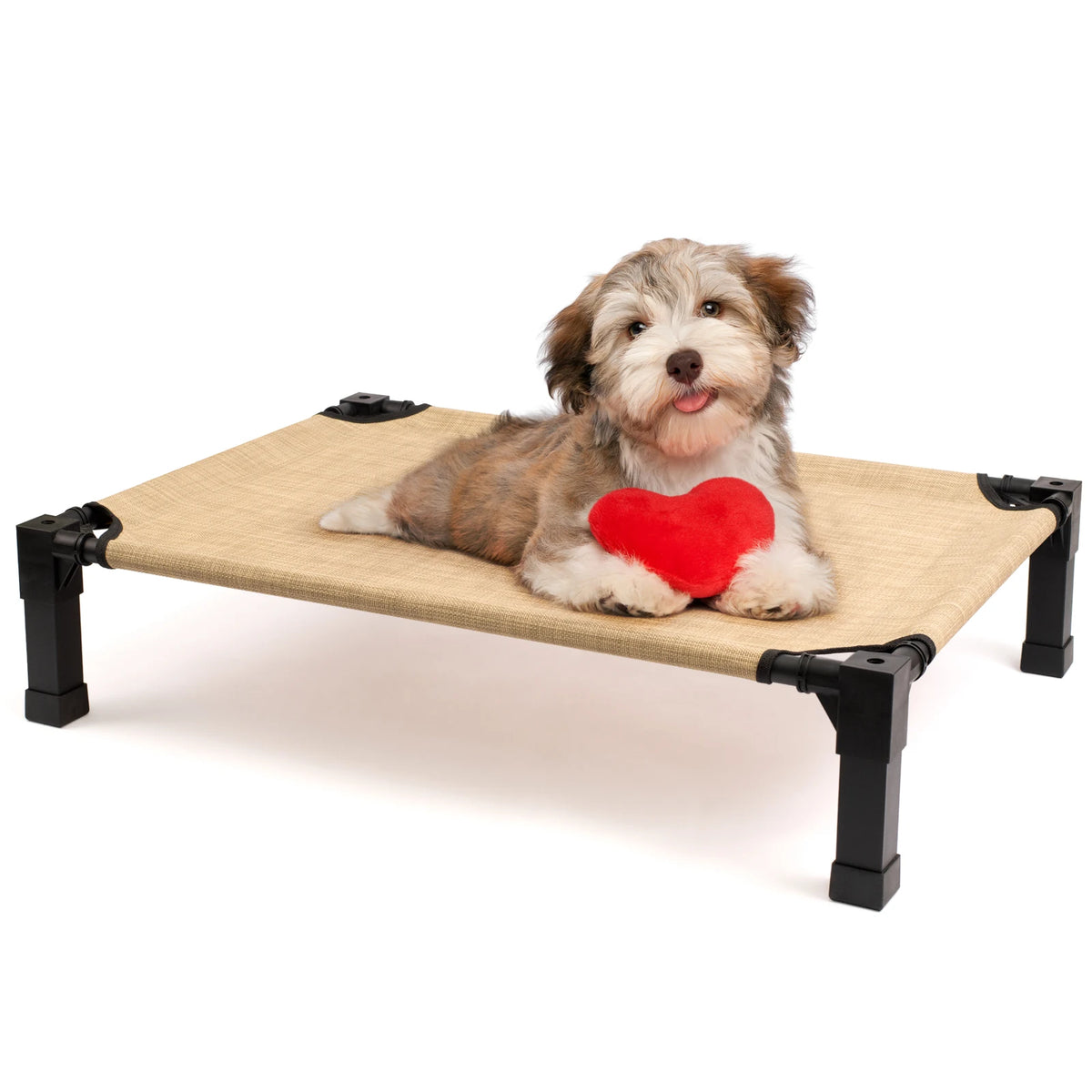 Elevated Cooling Dog Bed With Breathable Mesh And Metal Frame