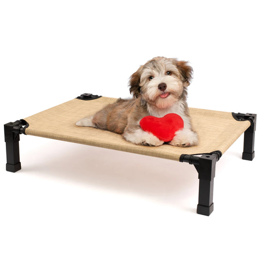 Elevated Dog Bed With Breathable Mesh And Durable Metal Frame