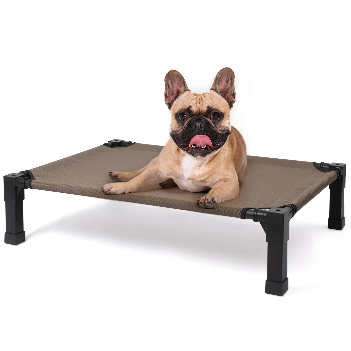 Elevated Cooling Dog Bed With Breathable Mesh And Metal Frame