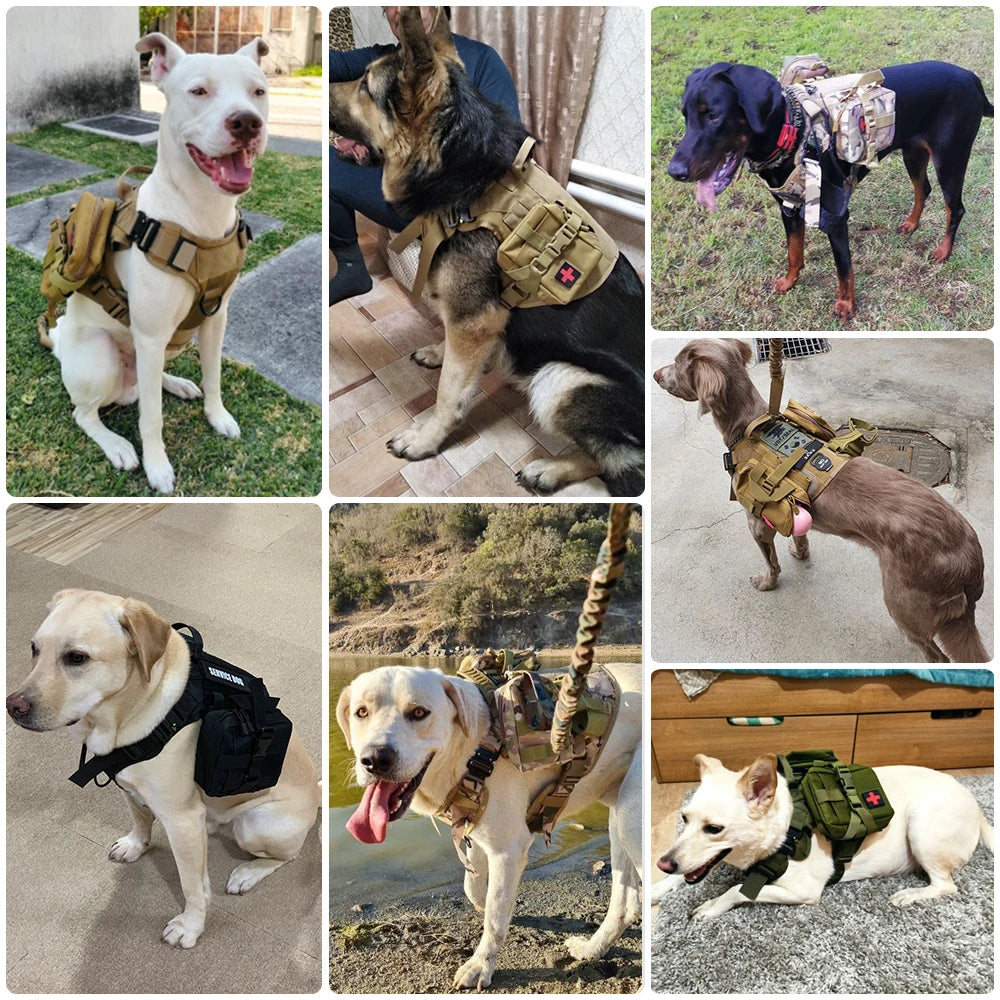 Professional Tactical Dog Harness Leash Set For Large Dogs