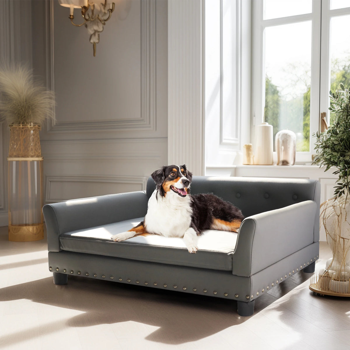 BINGOPAW Durable Elevated Leather Dog Sofa Bed For Comfortable Rest