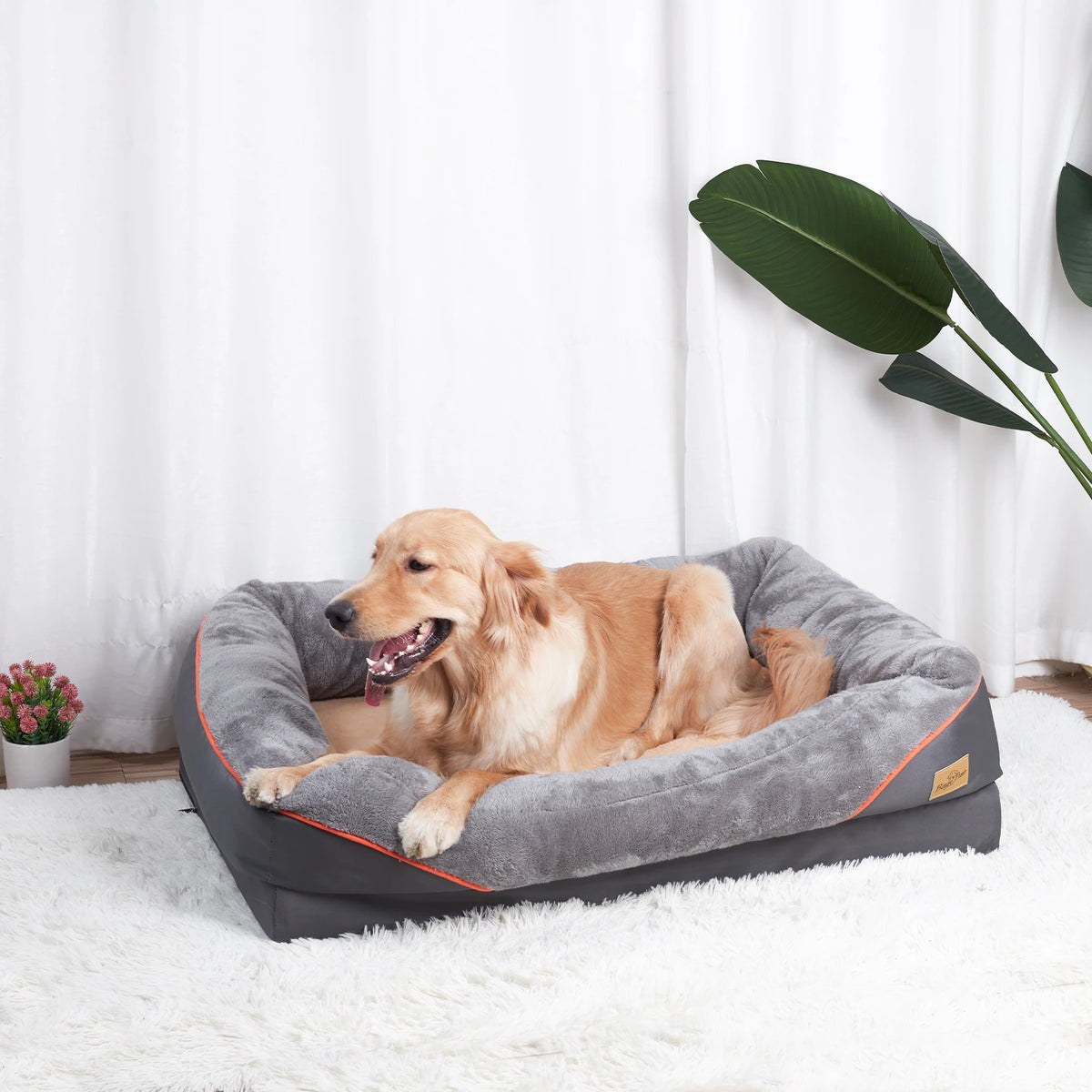 Bingopaw Washable Waterproof Fleece Dog Bed With Removable Cover