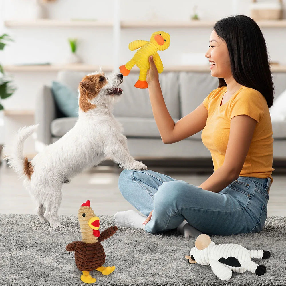 Plush Squeaky Dog Toys Assorted Stuffed Animal Chew Toy Bundle